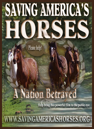 Saving America's Horses movie banner